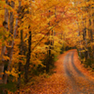 Meet your Posher, Mikayla